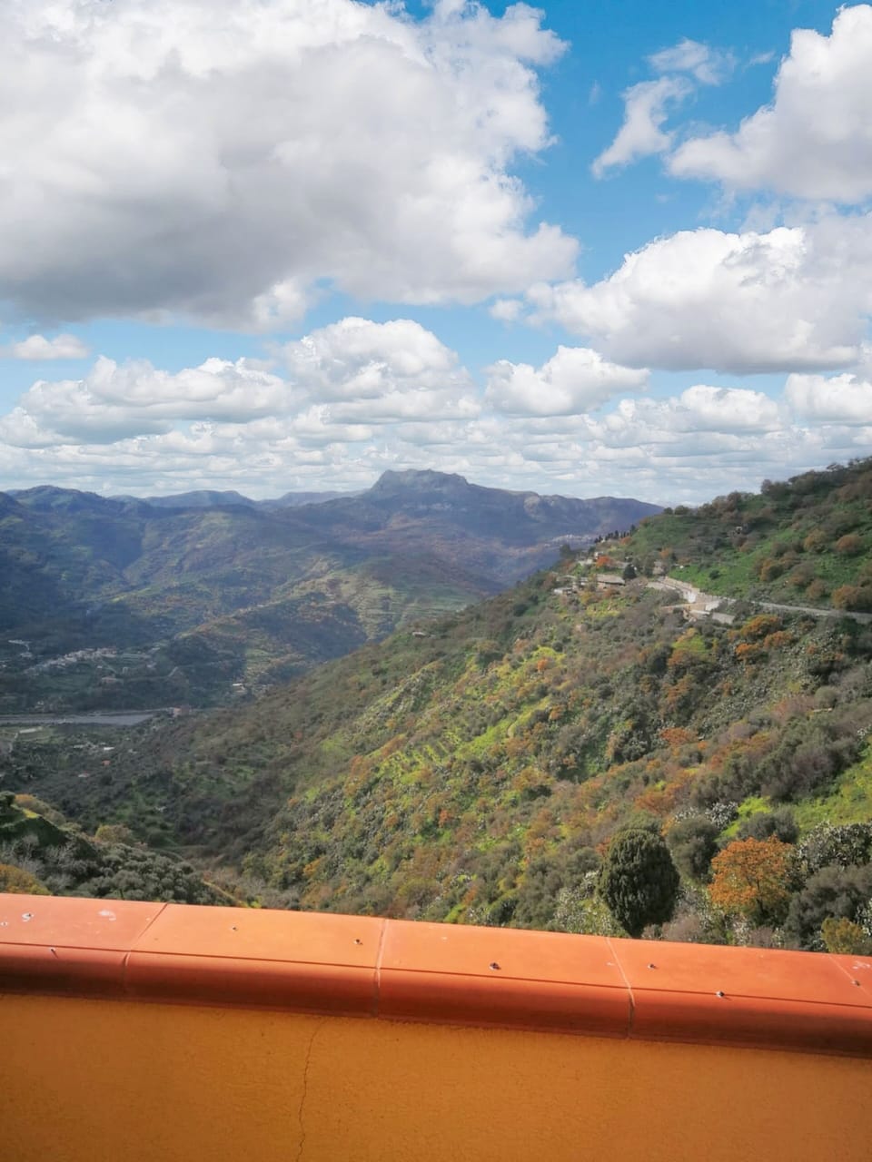 Areal view