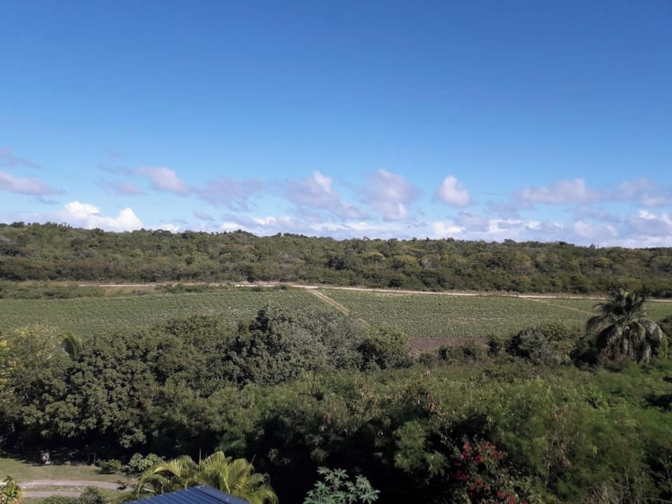 Areal view