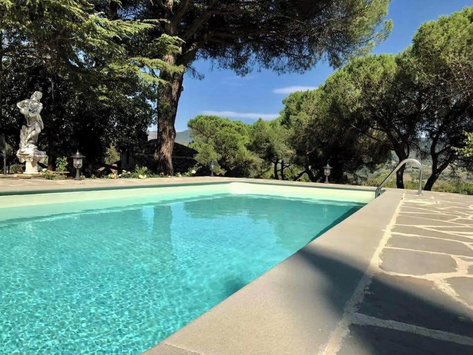 Swimming pool view