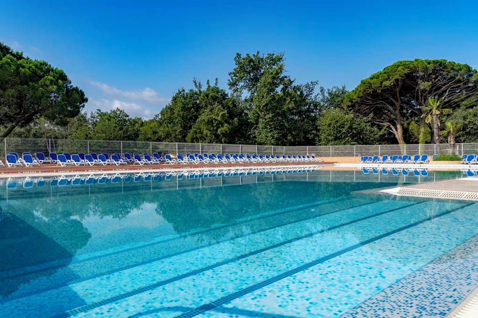 Swimming pool view