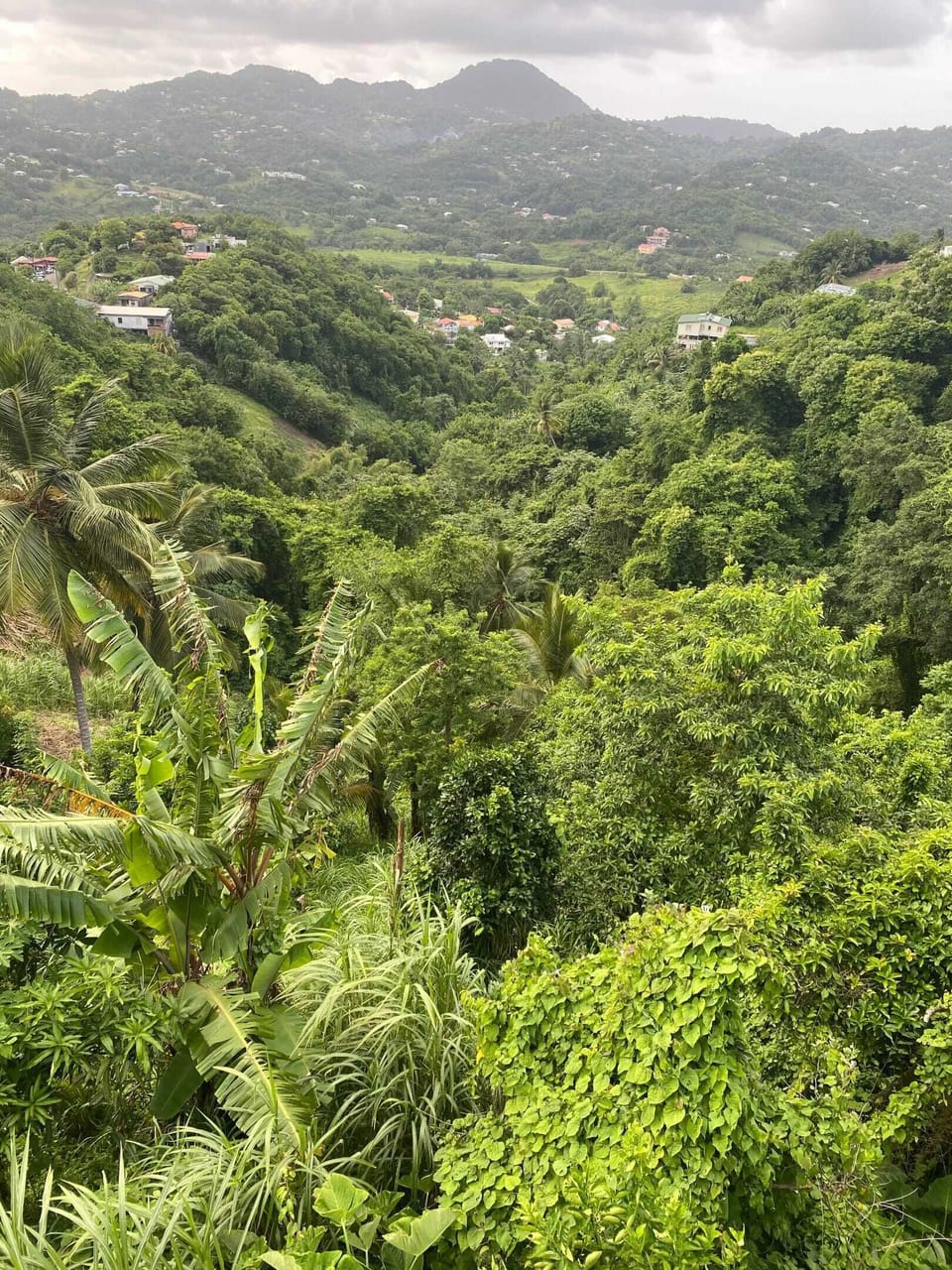 Areal view