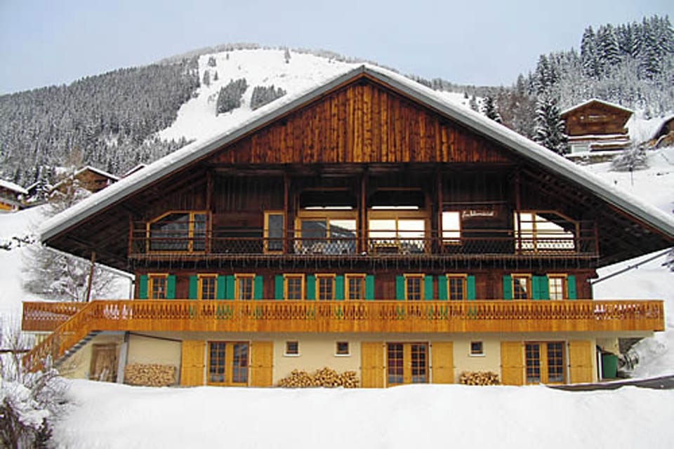 Front view