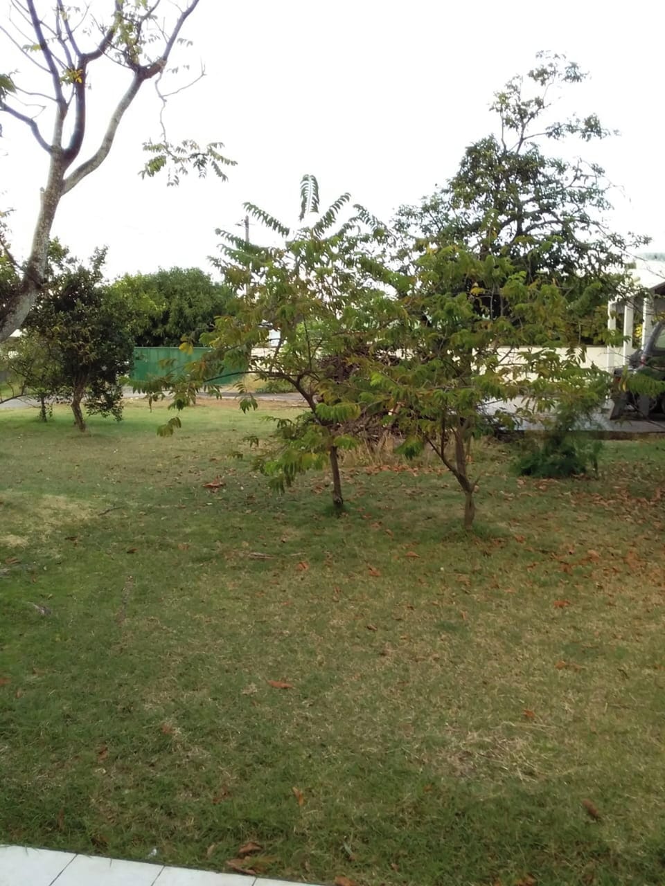 Areal view