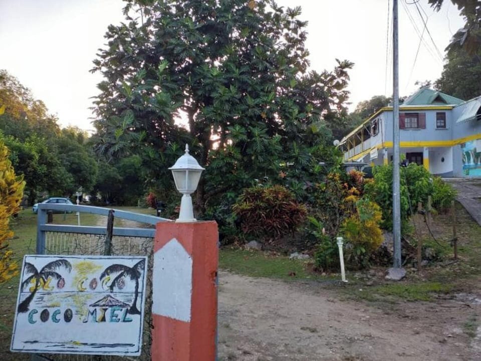 Front view