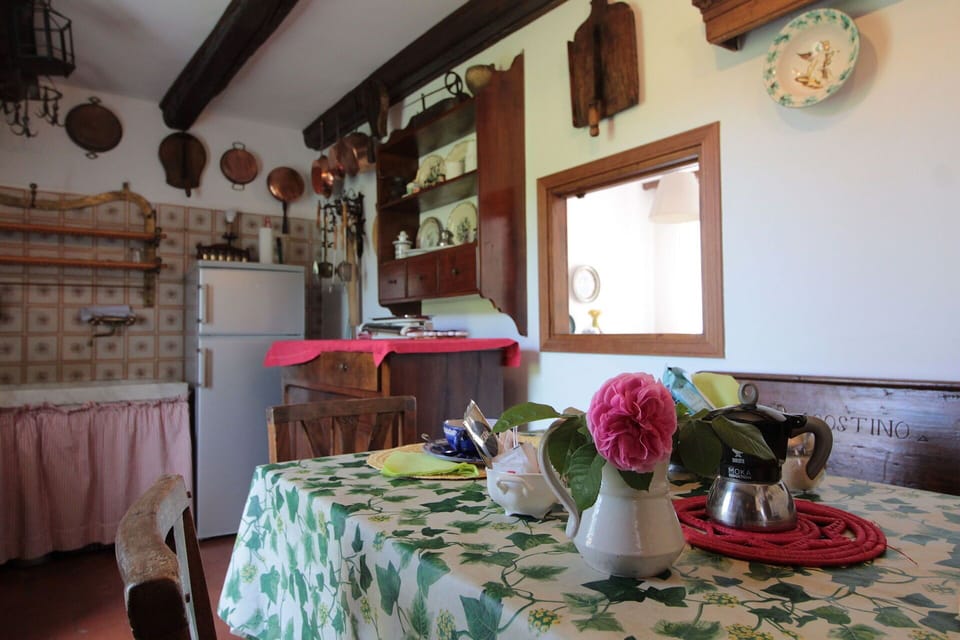 Autumn, Kitchen, Spring, Winter