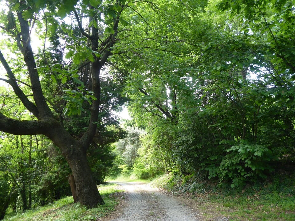 Autumn, Building Exterior, Garden, Spring, Summer