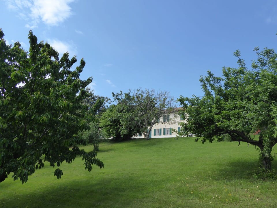 Autumn, Garden, Spring, Summer