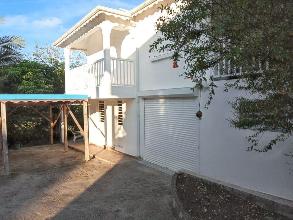 Back view