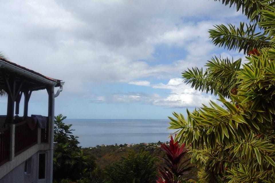 Areal view