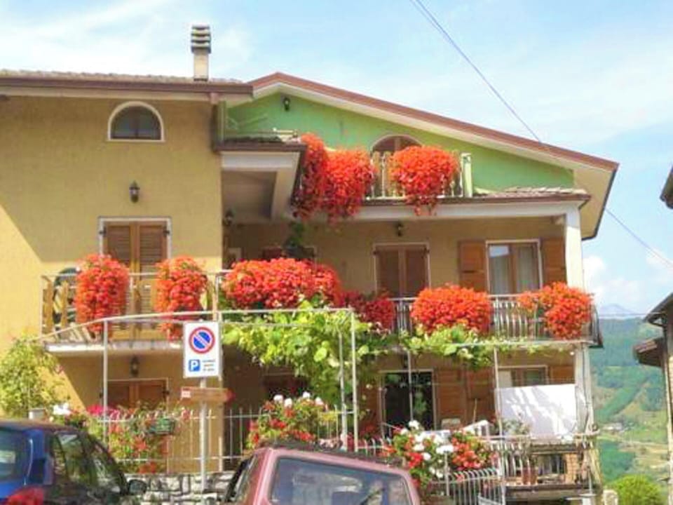 Front view
