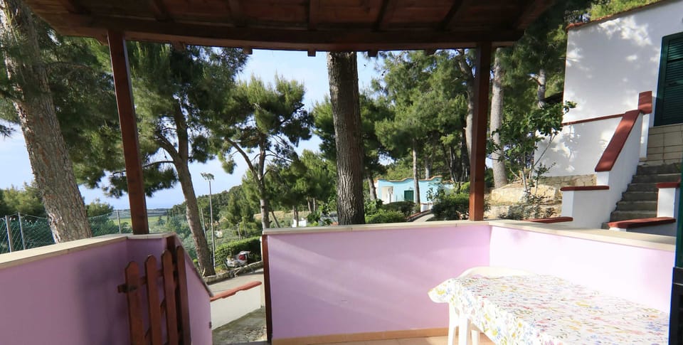 Swimming pool view