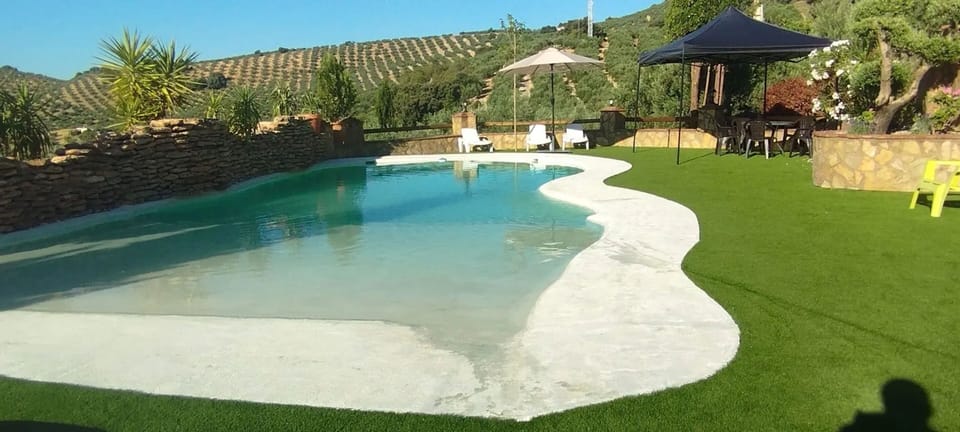 Swimming pool view