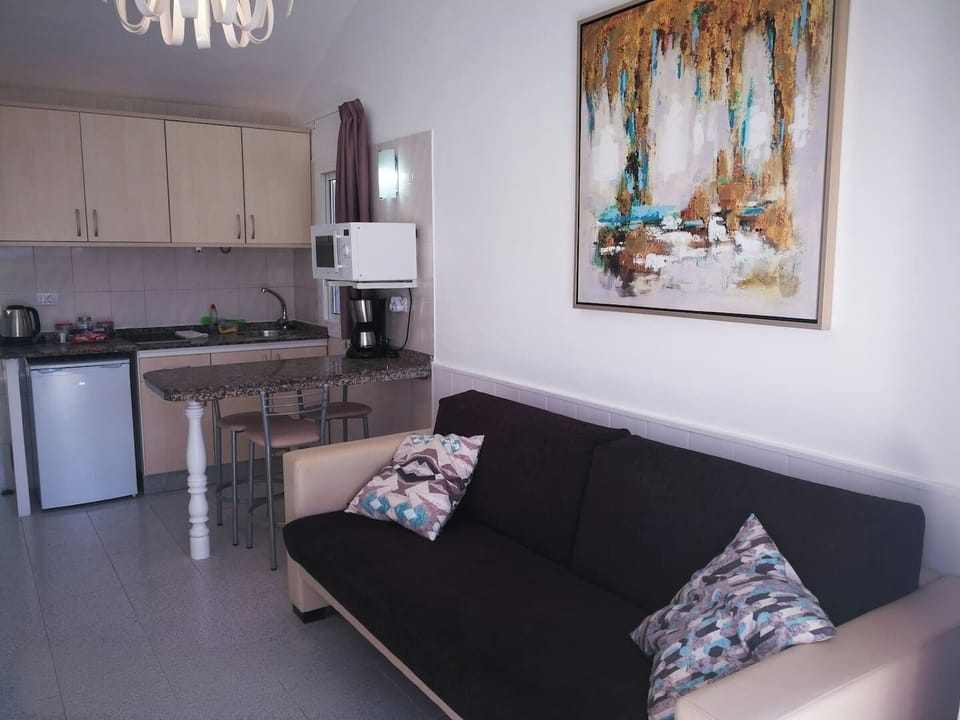 Living / Kitchen Area (2)