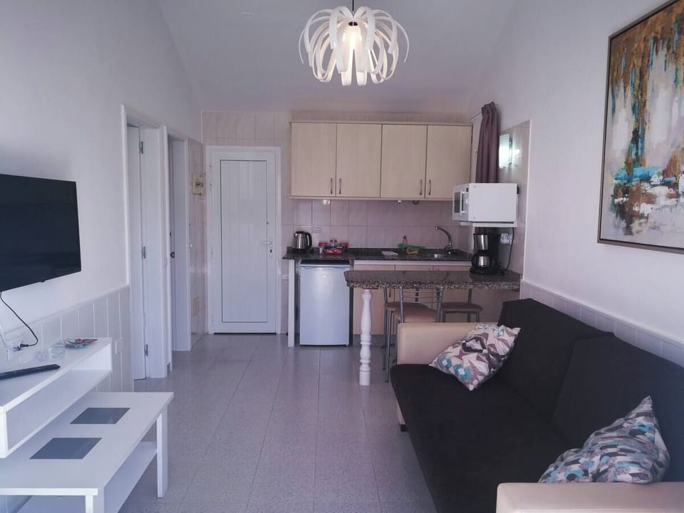 Living / Kitchen Area (1)