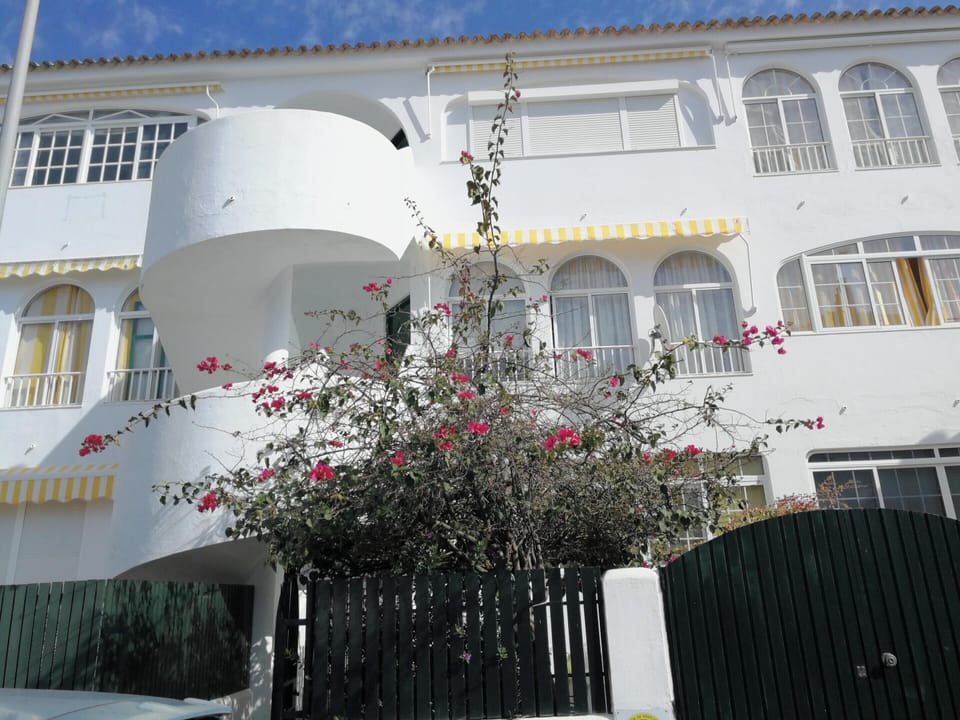 Front view