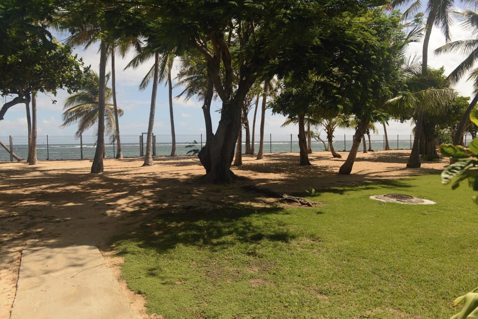 Sea view