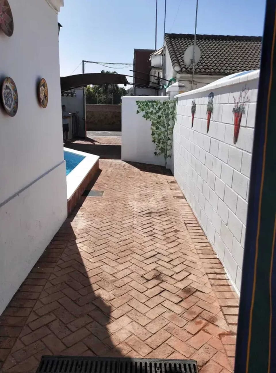 Swimming pool view