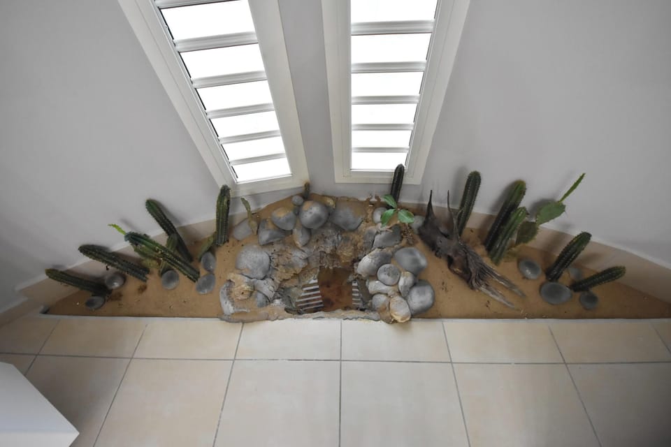Swimming pool view