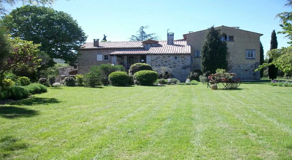 Back view