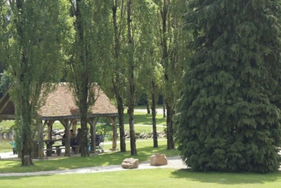 Lake view