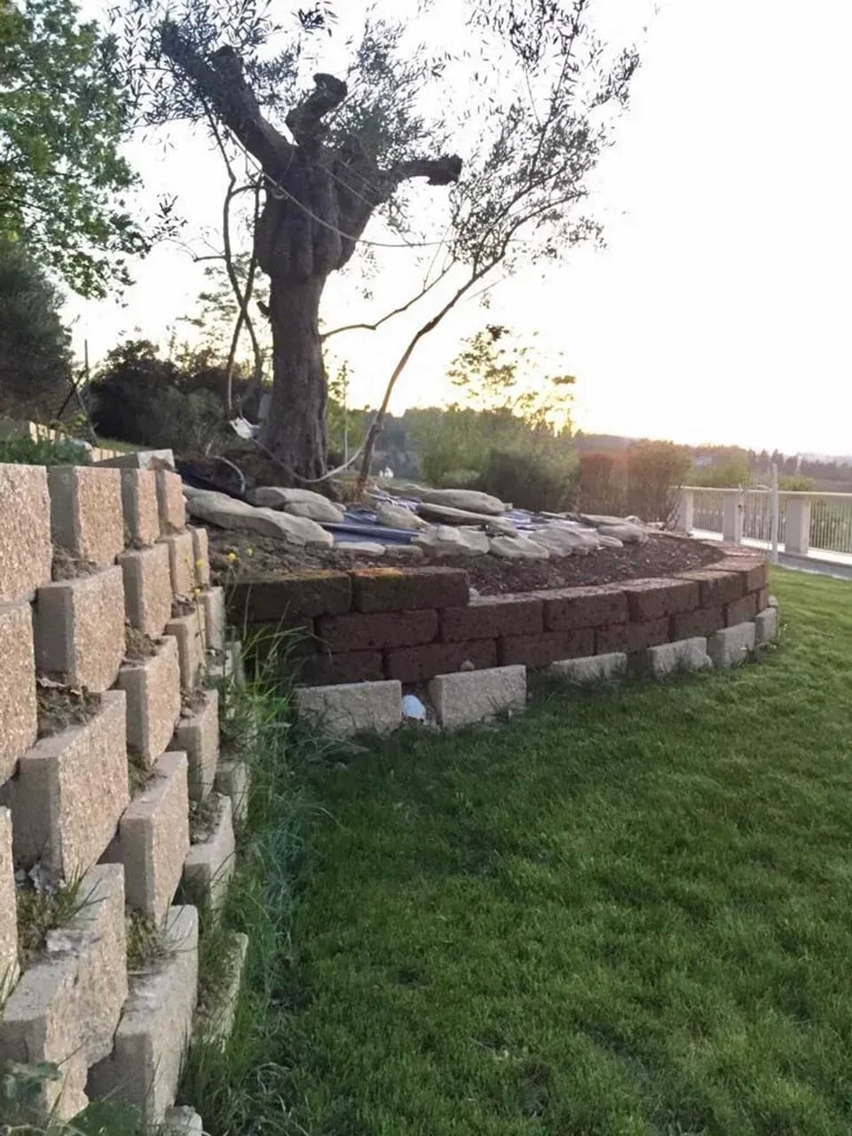 Back view