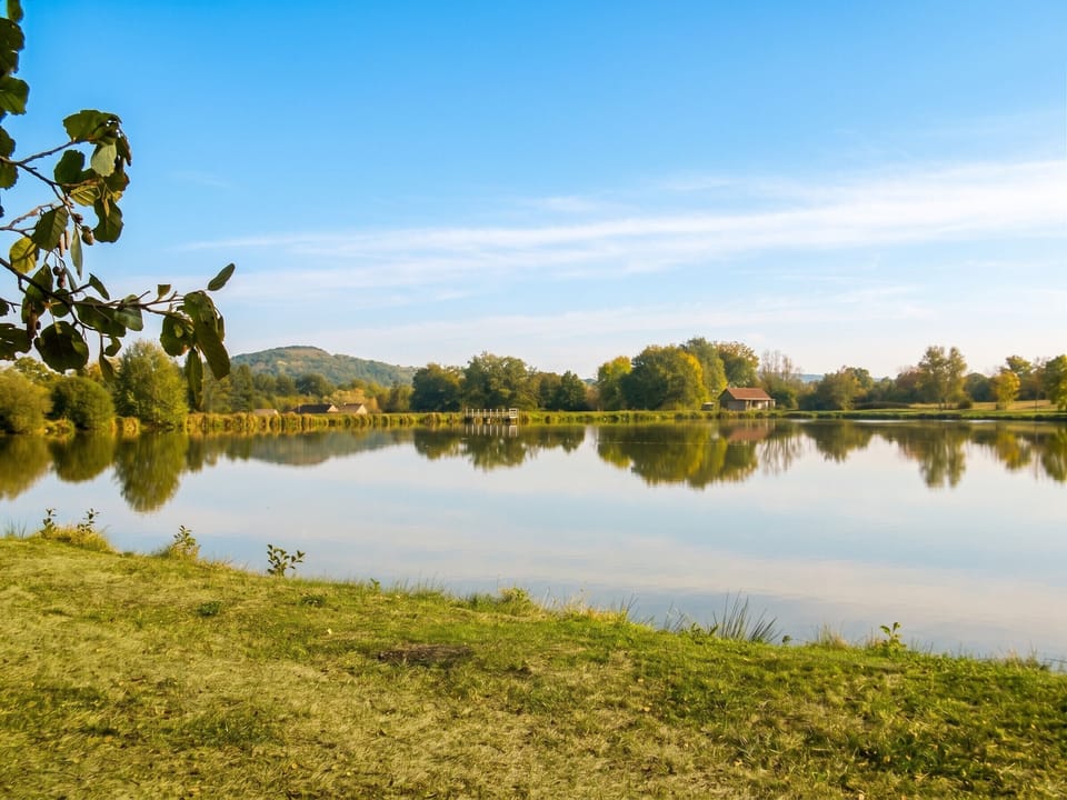 Lake view