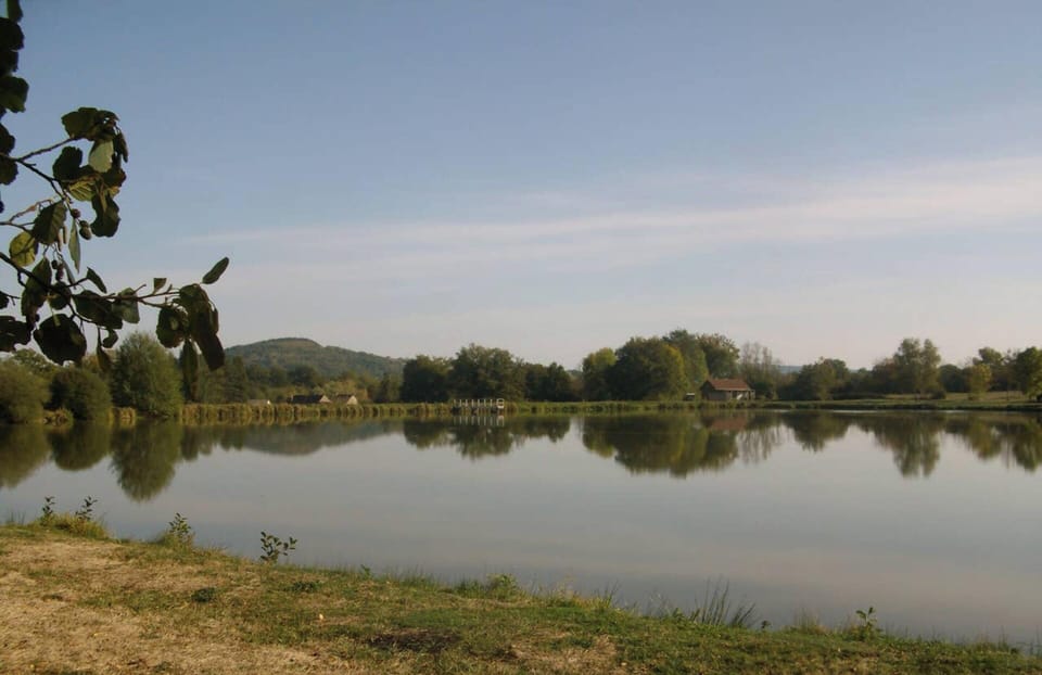 Lake view
