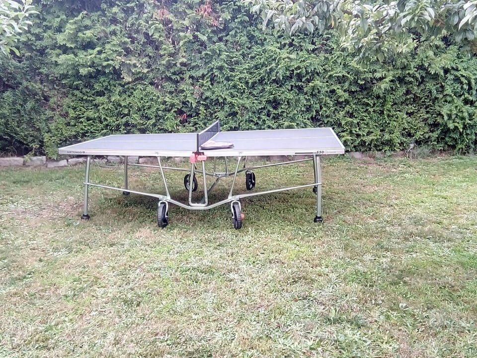 Table tennis