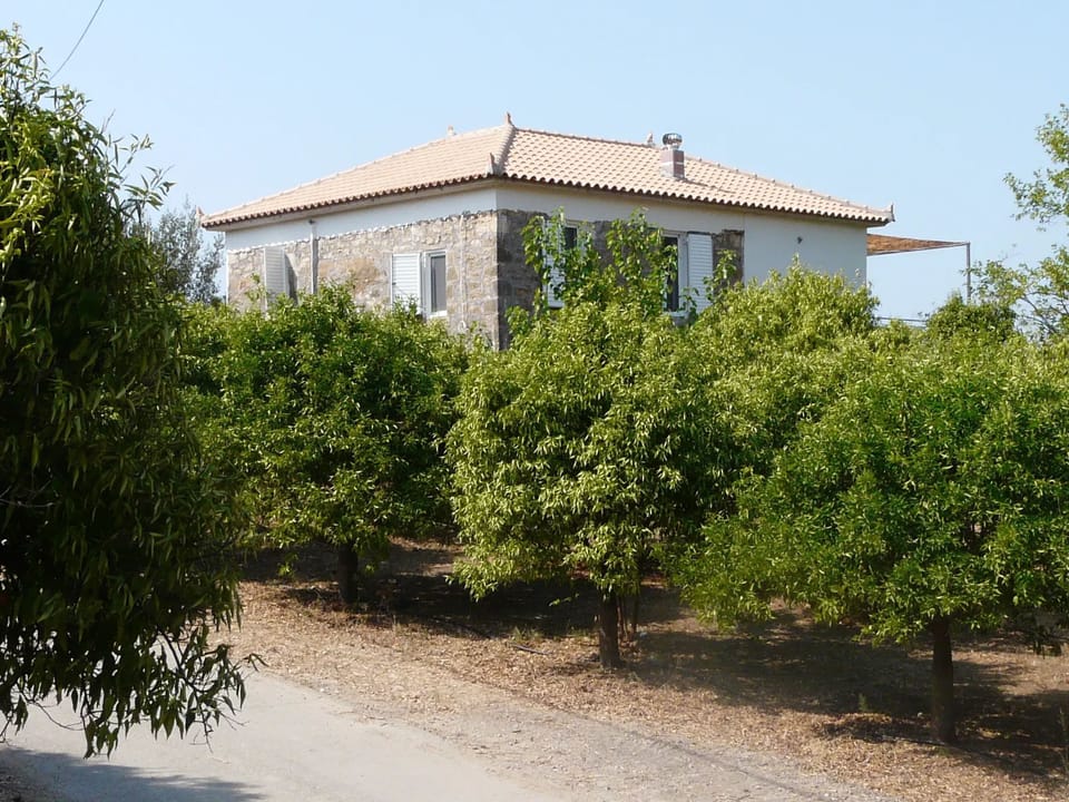 Front view