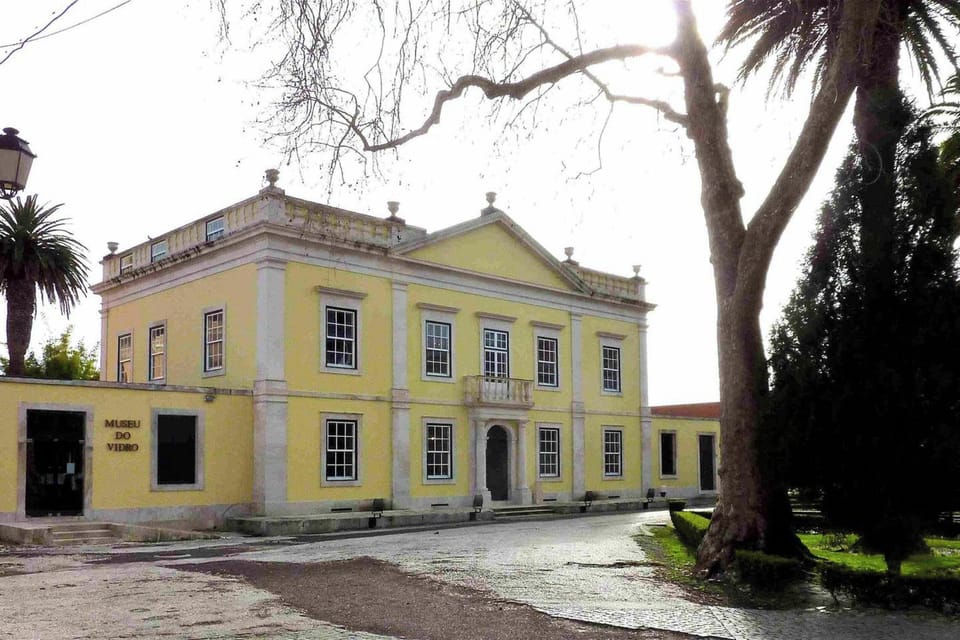 Back view