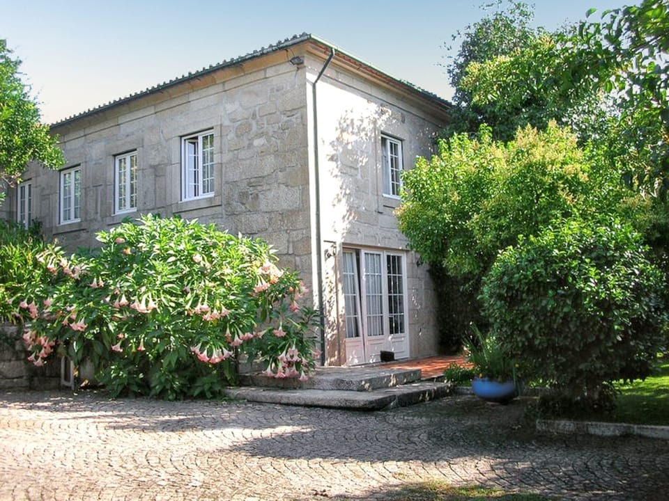 Front view