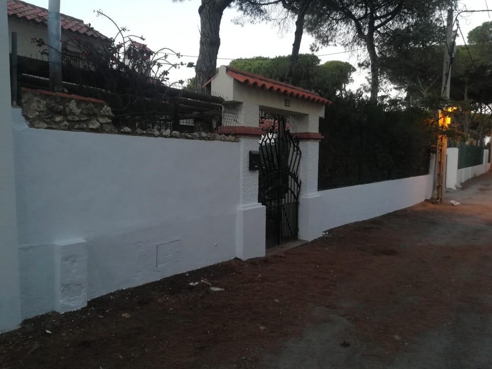 Front view