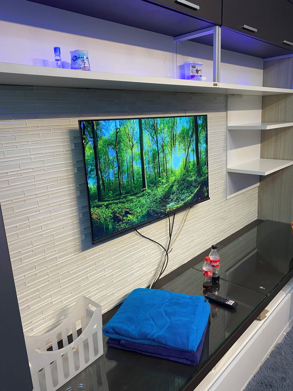 Television