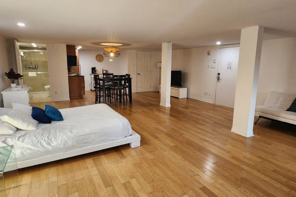 Living room/bedroom space (3)
