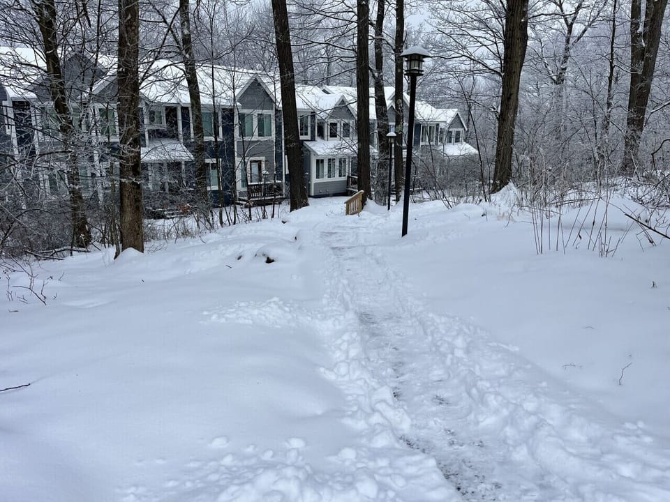 Winter pathway and steps leading to property from parking lot