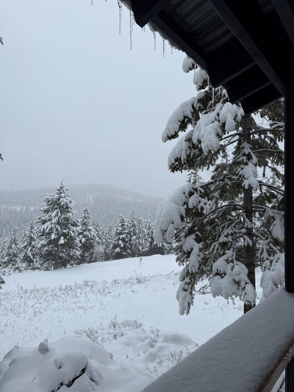 View from property