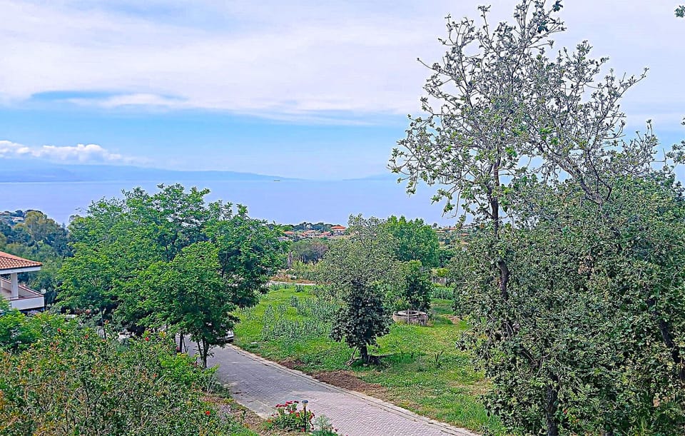 view-from-room