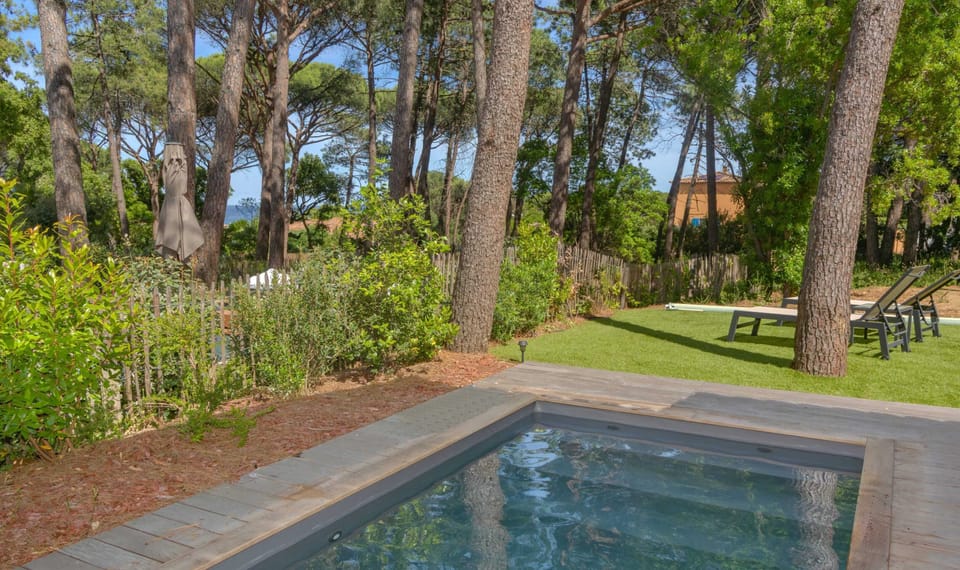 Swimming pool view