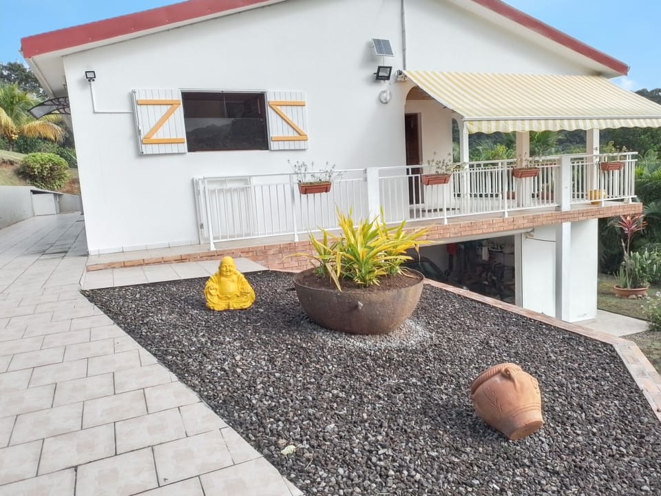 Front view
