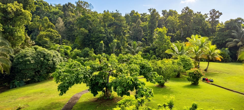 Garden view
