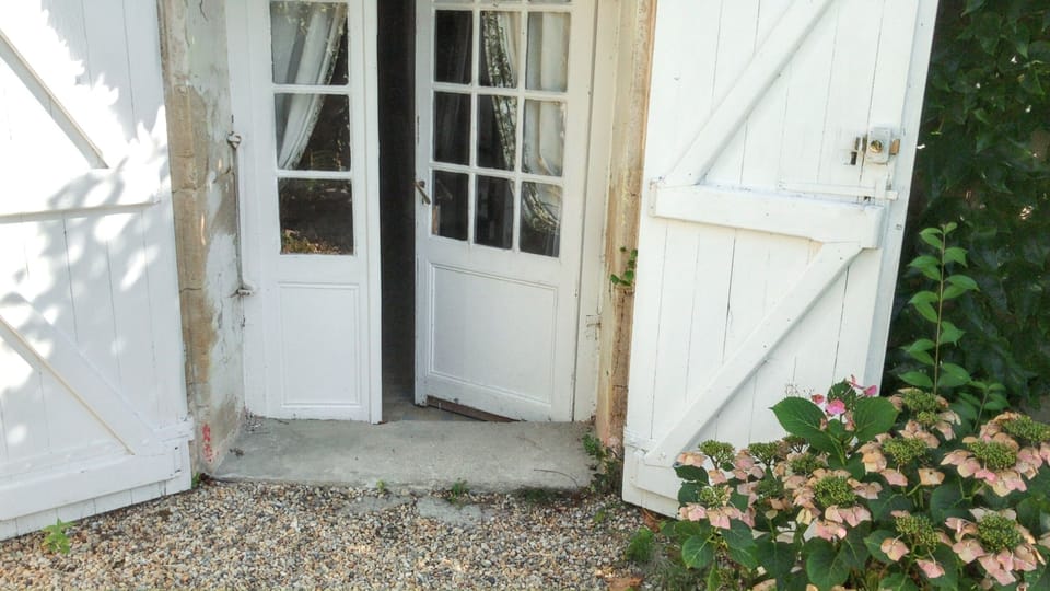 Front view