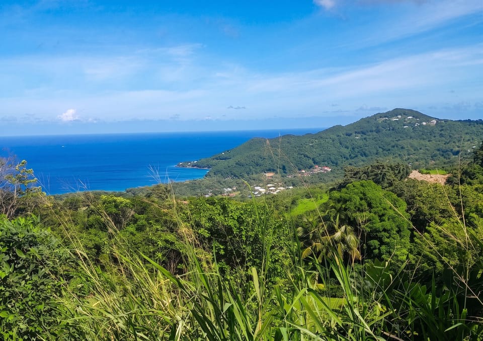 Areal view