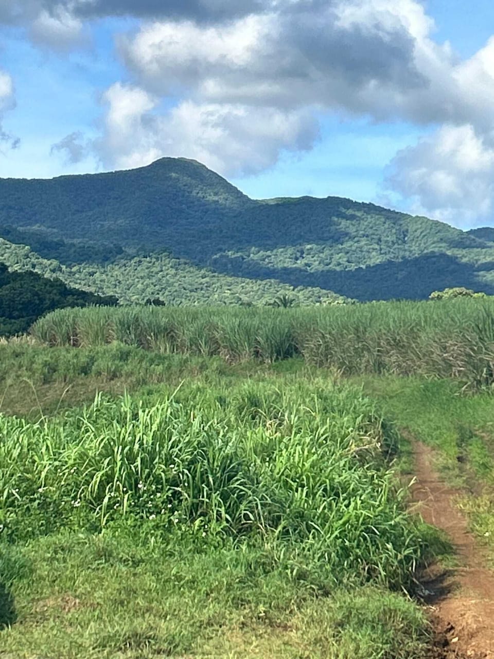 Surroundings