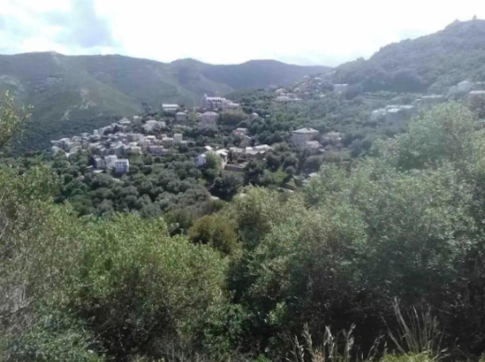 Areal view