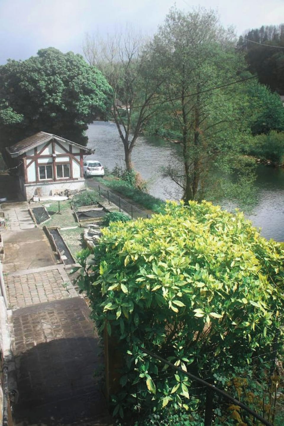 Lake view