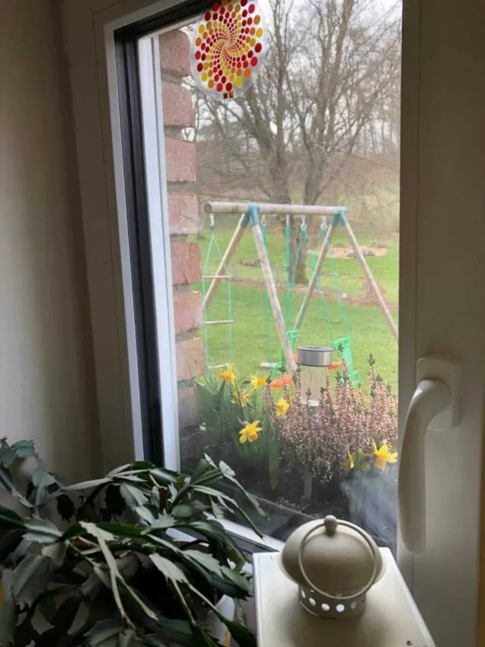 Garden view