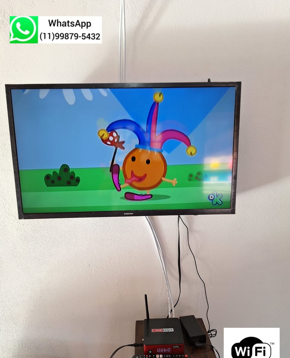 Television