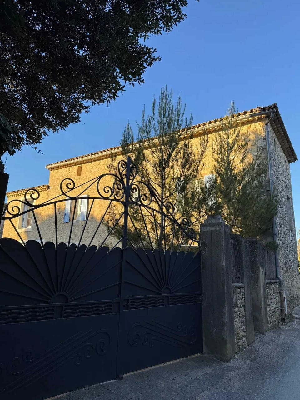 Front view