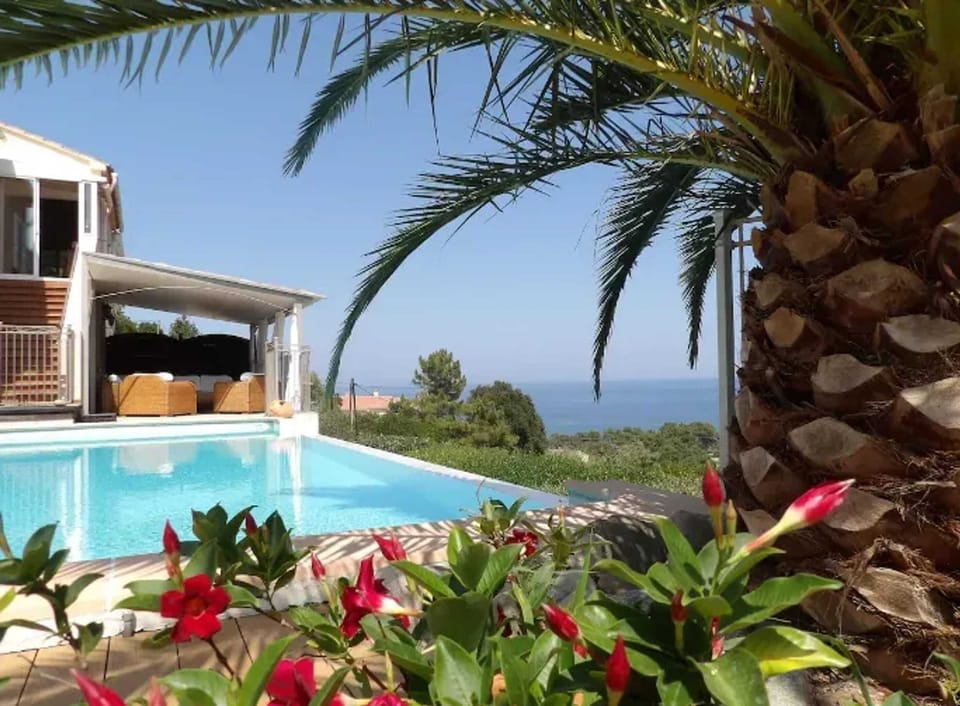 Swimming pool view