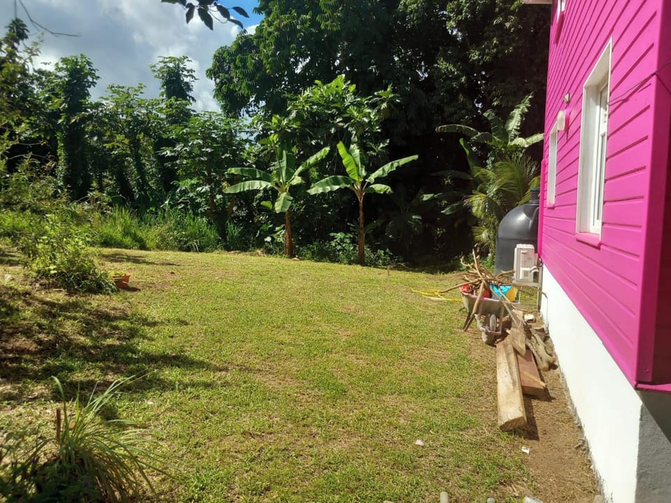 Areal view